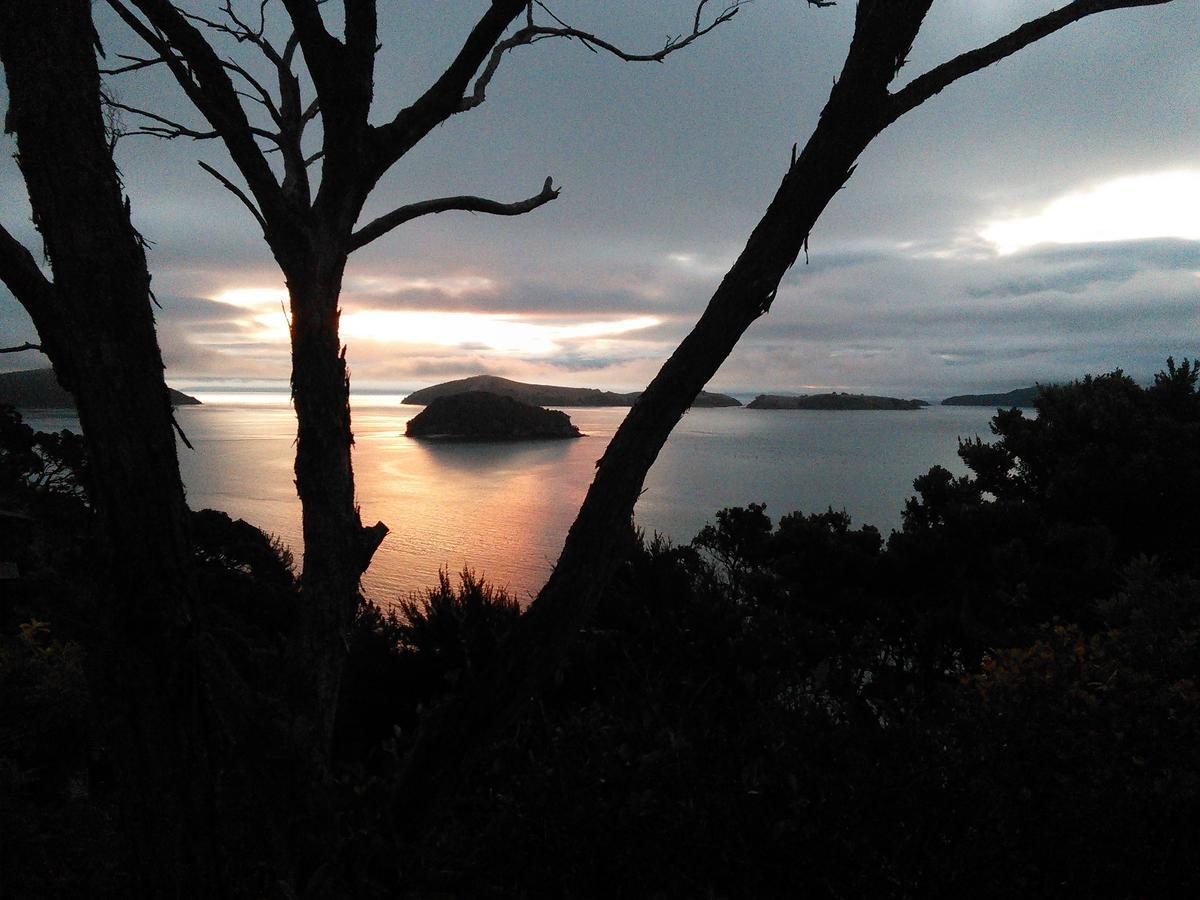 Island View Experience Villa Coromandel ภายนอก รูปภาพ